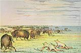 George Catlin Canvas Paintings - Stalking Buffalo